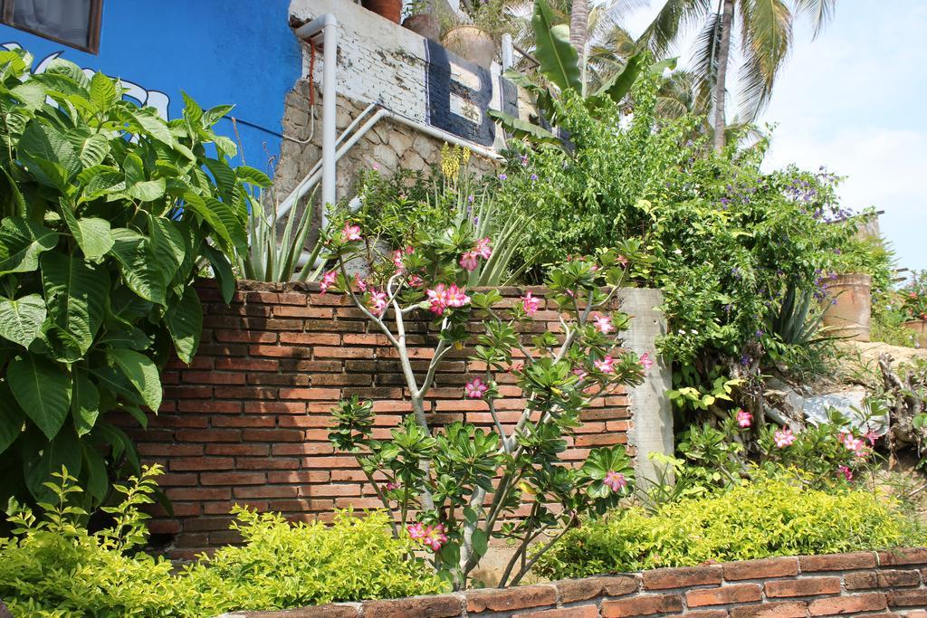 Hotel Buena Vista Puerto Escondido  Exteriör bild